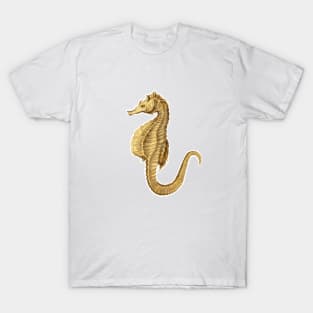Hippocampus seahorse T-Shirt